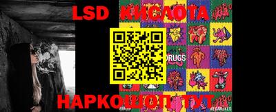 гашик Кимры