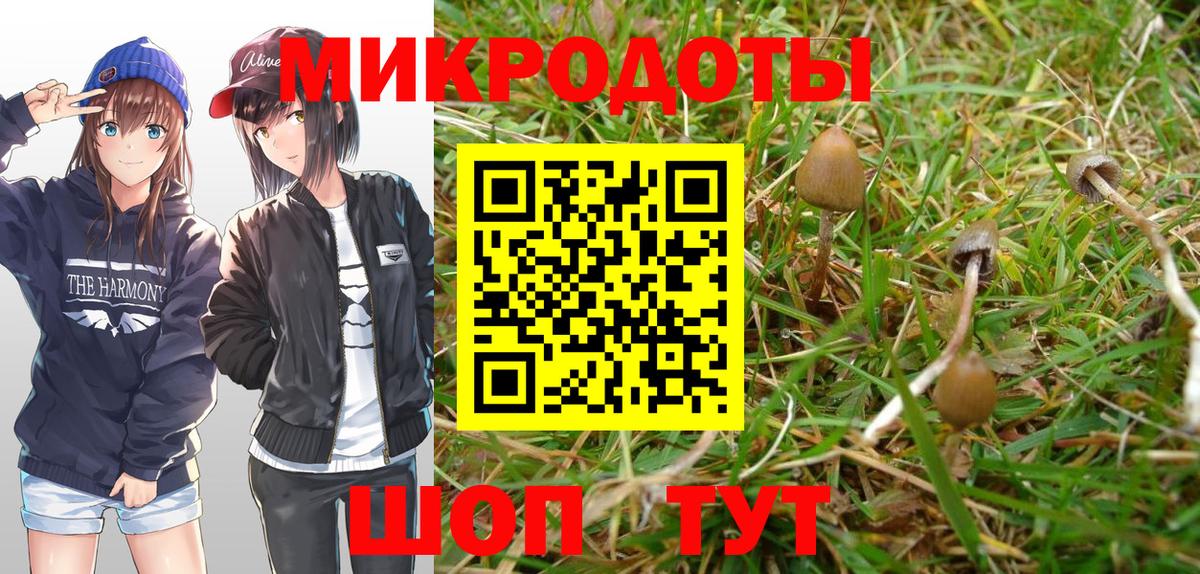 Псилоцибиновые грибы Cubensis  Галлюциногенные грибы MAGIC MUSHROOMS  как найти   Краснодар  Вход с VPN 