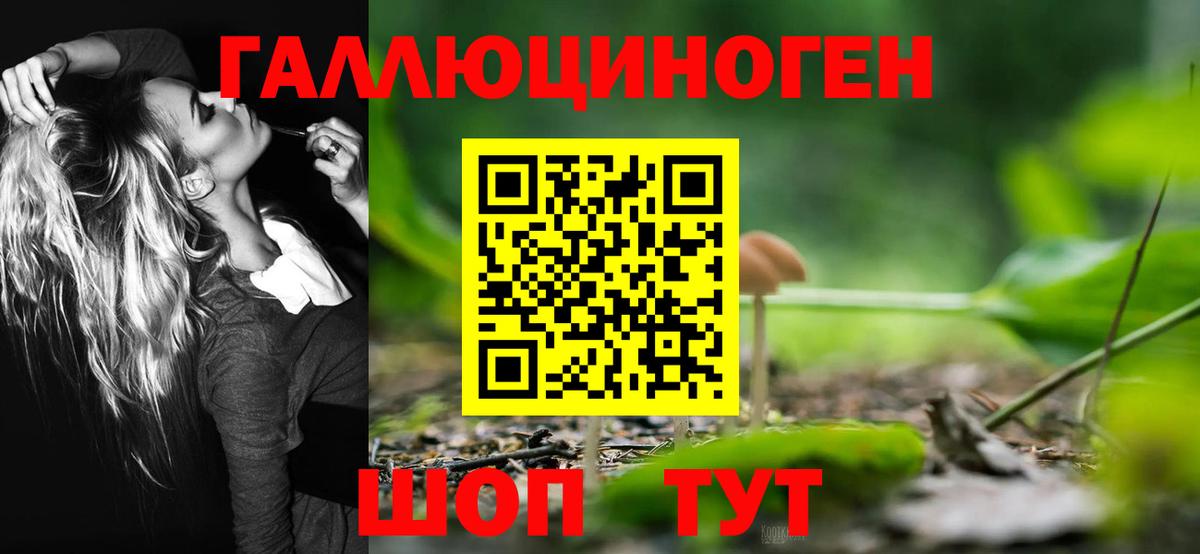 Псилоцибиновые грибы Cubensis Краснодар